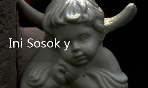 Ini Sosok yang Bikin Luhut Mau Jadi Ketua Dewan Ekonomi Nasional