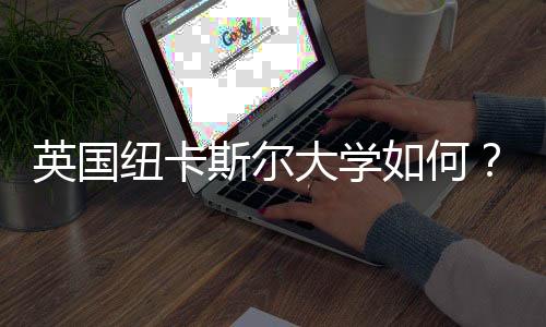 英国纽卡斯尔大学如何？