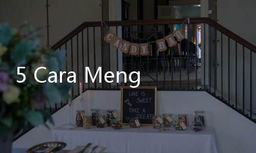 5 Cara Mengatasi Kucing Diare, Jangan Buru