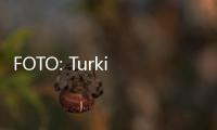 FOTO: Turki Mulai Restorasi Kubah Hagia Sophia