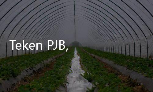 Teken PJB, Emiten Migas Milik Grup Bakrie (ENRG) Kuasai Aset Blok Kangean